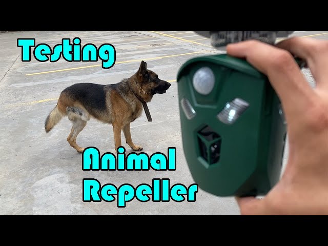 Ultrasonic Animal Repeller Unboxing and Demonstration