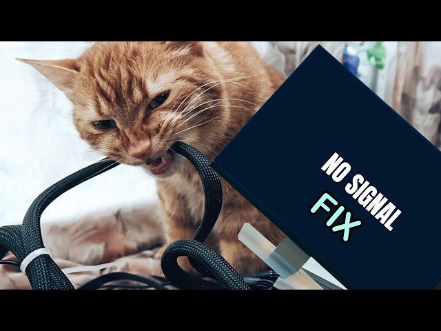 How to FIX No Signal / No Display  - Monitor / PC  Troubleshooting