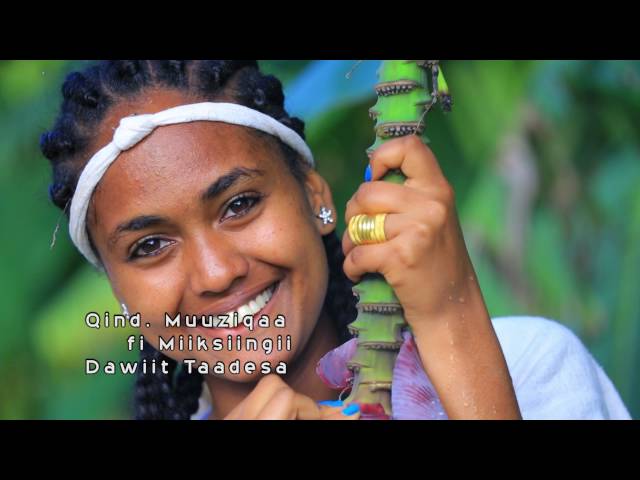 "2016 Oromo Music" Habtamu Lamu - Wallagga Daawwanna Beautiful Oromia greenland