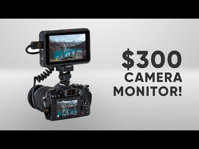 Best External Camera Monitor Under $300