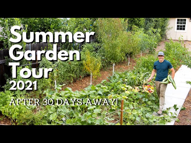 Summer Garden Tour AFTER 30 DAYS AWAY!
