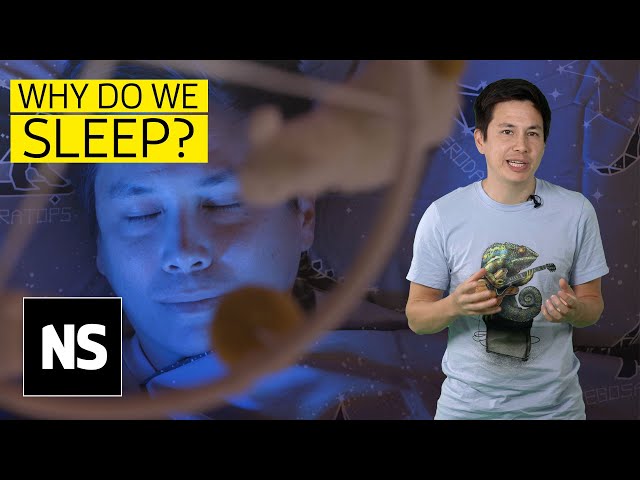The mystery of sleep: Why can’t we stay awake indefinitely? I Science with Sam