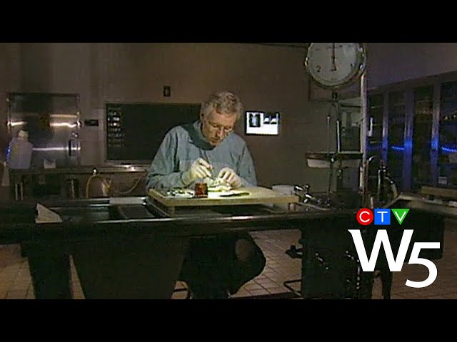 Wrongly imprisoned Canadians and the flawed testimony of Dr. Charles Smith | W5 VAULT