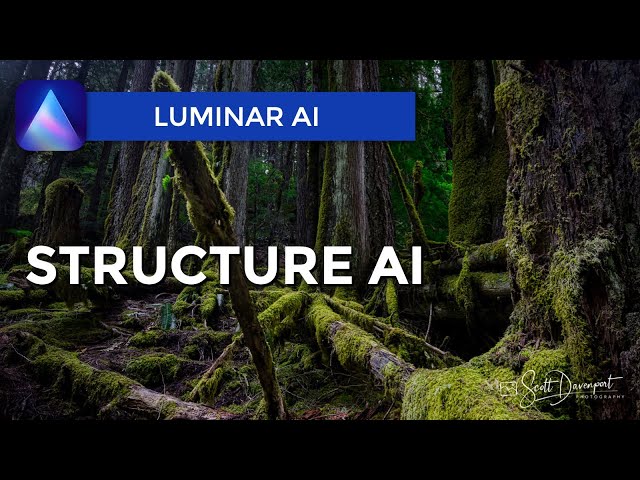 The Structure AI Tool - Luminar AI