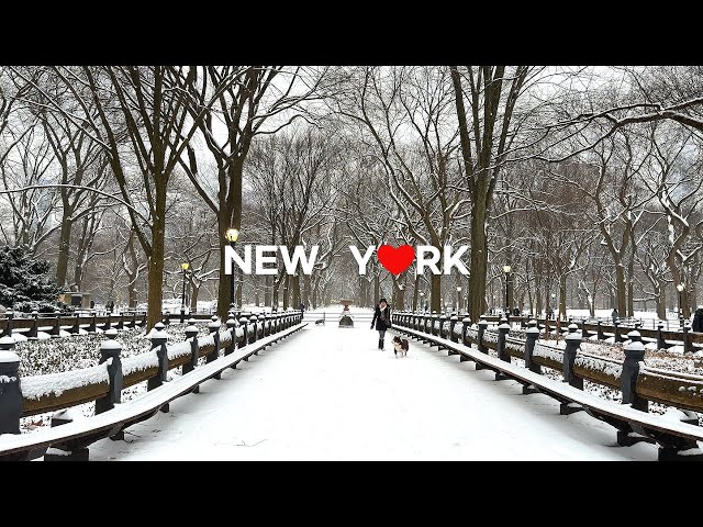 [4K]🇺🇸New York City🗽☃️❄️ : Snowy early morning walk in Central Park /Jan.16 2024