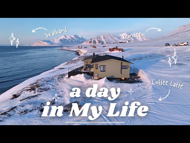 Daily Life in my Cabin | Preparing for Polar Day on a Remote Island in the Arctic ep. 6
