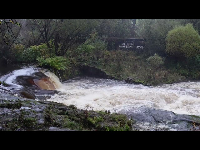 River Carron Waterfall Sound - 53 mins - For ASMR / Relaxation