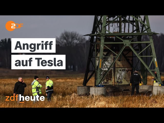 Gefährlicher Linksextremismus: Der Anschlag auf das Tesla-Werk in Grünheide | frontal