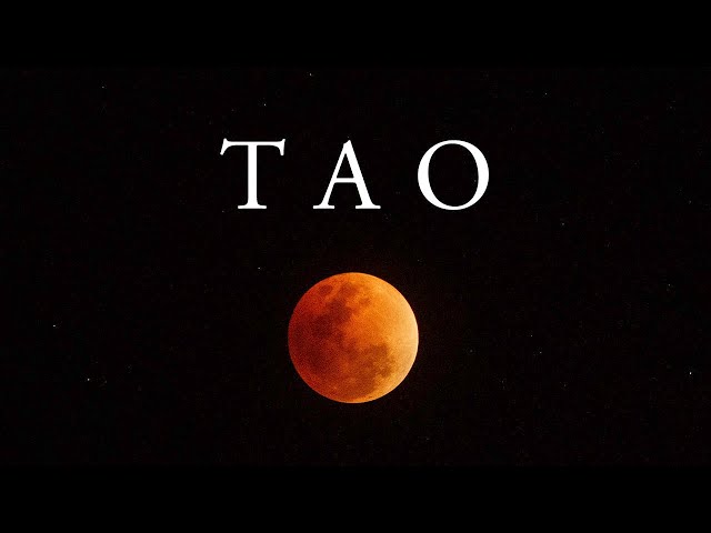TAO: A Time-lapse Film