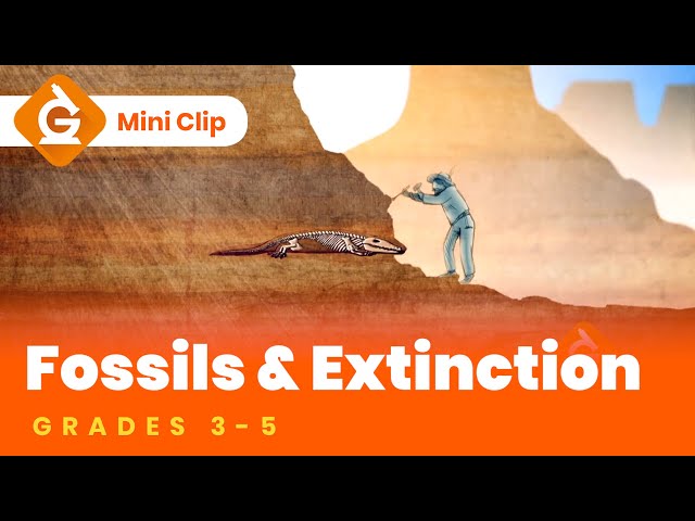 Fossils & Extinction Video Lesson for Kids | Science for Grades 3-5 | Mini-Clip