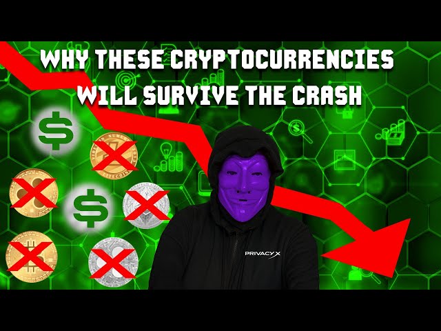 Cryptocurrency That Will Actually Survive The CRASH