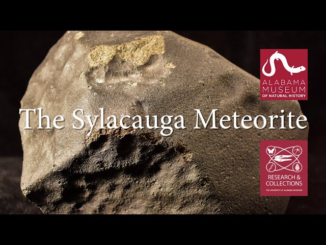 The Sylacauga Meteorite