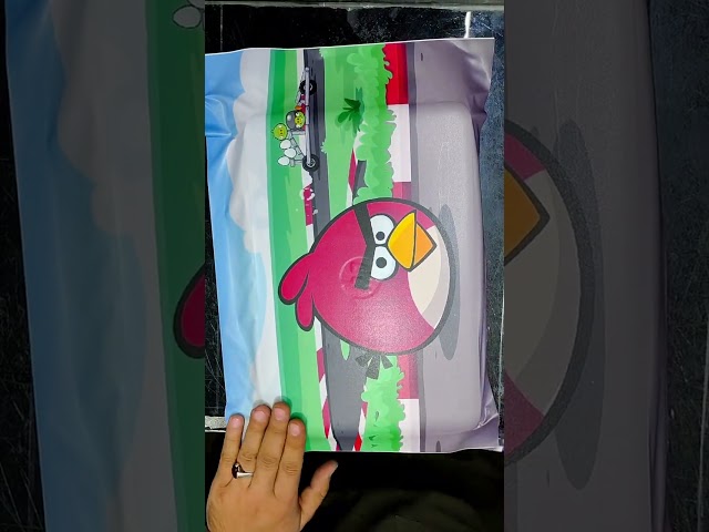 Hp chromebook wrap with angry bird vinyl #shorts