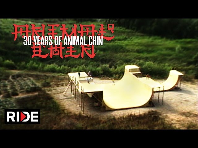 Animal Chin 30 Years  - Building The Chin Ramp 1/4