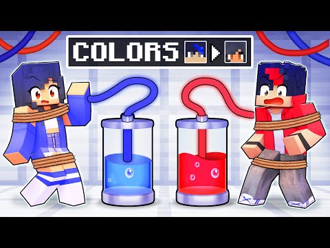 Our COLORS are SWITCHED in Minecraft!