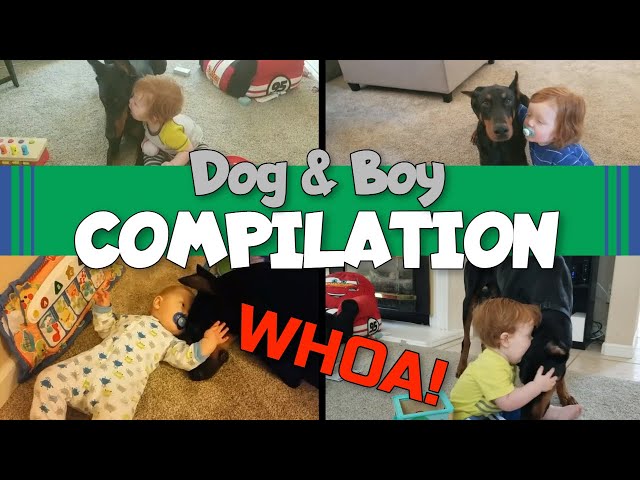 Doberman and Baby Compilation: A Kid's Unbreakable Bond with His Dog