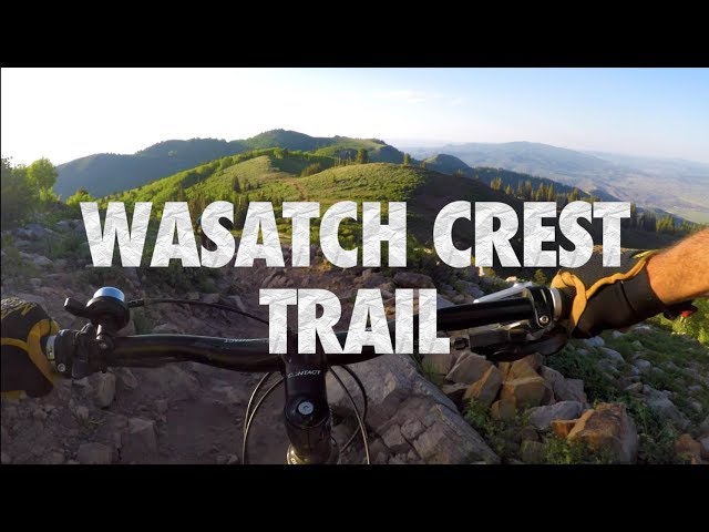 Wasatch Crest Trail | Mountain Bike Ride