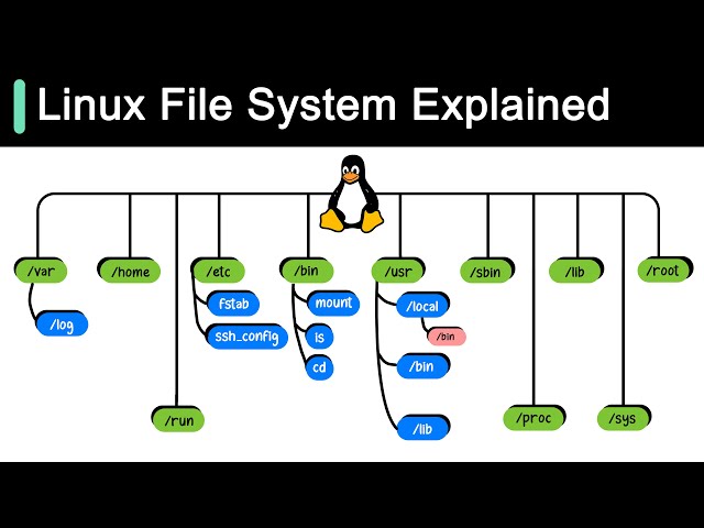 Linux File System Explained!