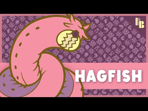 Hagfish!