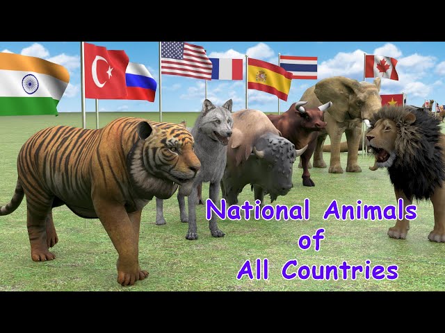 National Animals of Countries | Flags and Countries name With National Animal