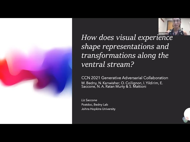 CCN 2021: How does visual experience shape representations and transformations along the ventral...