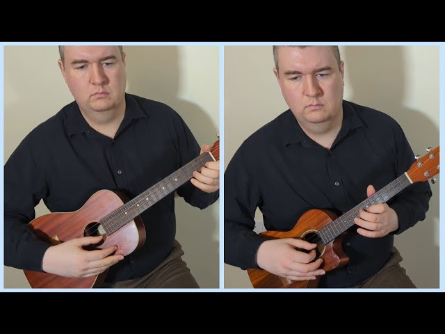Theme from Winter (Vivaldi) on baritone and tenor ukuleles
