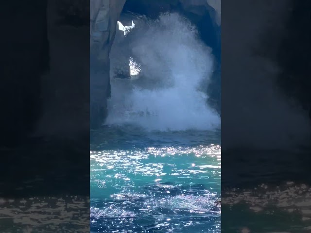 Check Out These Epic Crashing Waves!