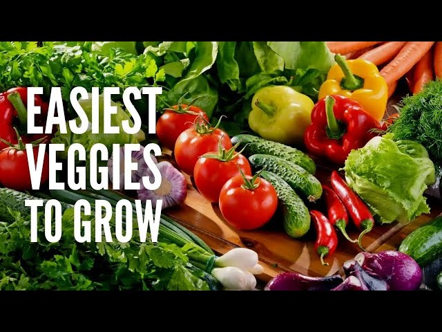 20 Easiest Vegetables to Grow in Your Garden