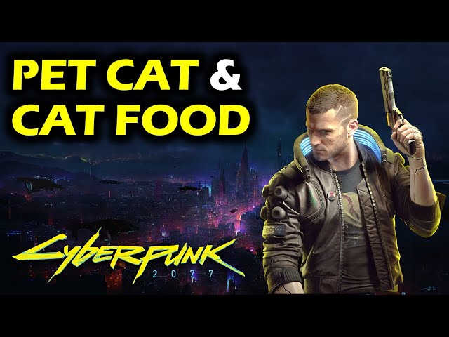 How To Get A Pet Cat | Cat food Location | Cyberpunk 2077 Secrets