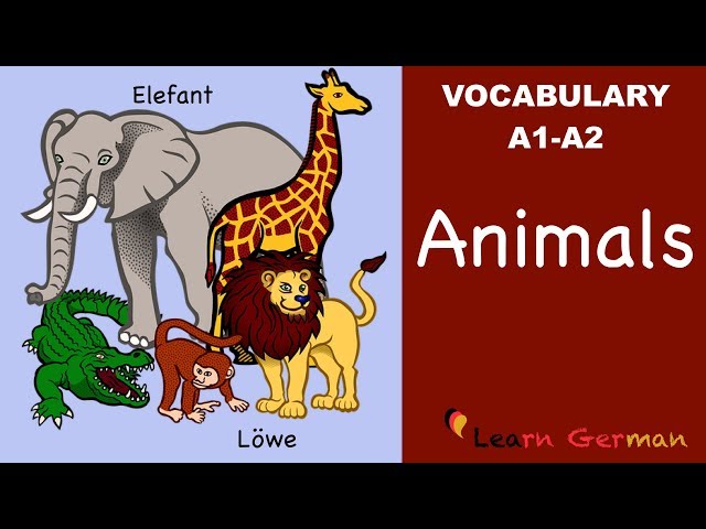 Learn German Vocabulary - Animals in German (Tiere)
