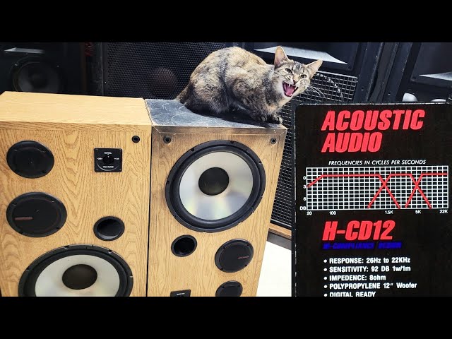 Acoustic Audio H-CD12 Destruction and Speaker Blowout