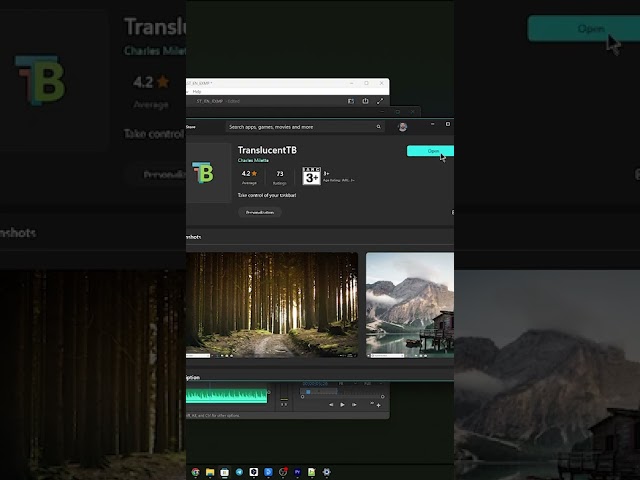 How to make the Taskbar fully transparent in Windows 11?