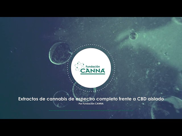 Extracto de cannabis de espectro completo frente a CBD aislado - Audio Artículo (Español)