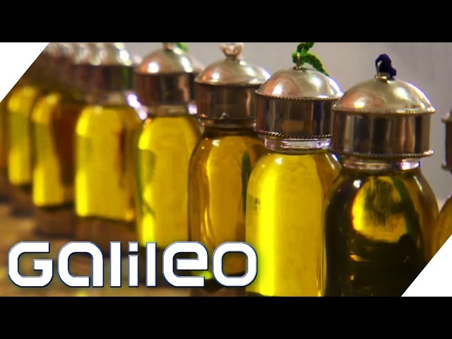 Das teuerste Öl der Welt | Galileo | ProSieben