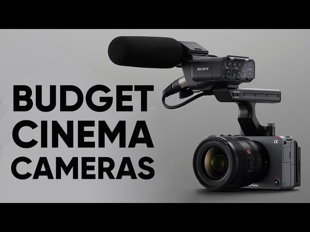 5 Budget Cinema Camera for Filming