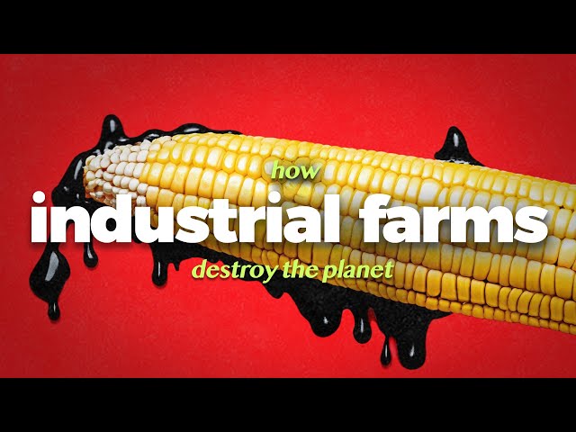 Our Food is Killing Us