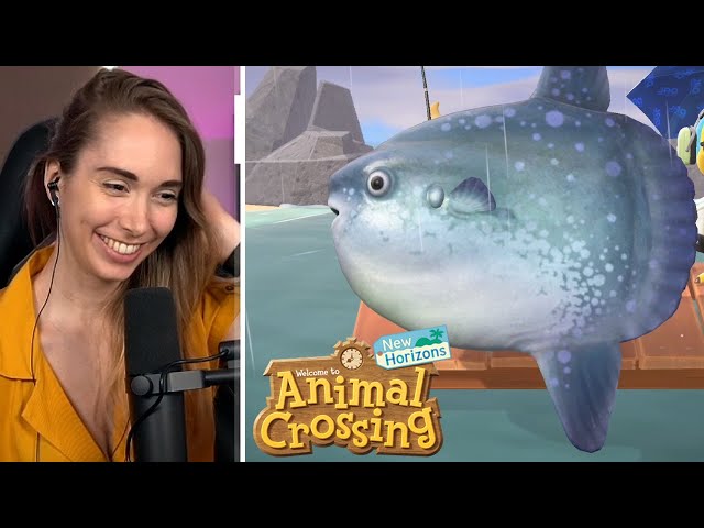 July bugs and fish! - Animal Crossing [29]
