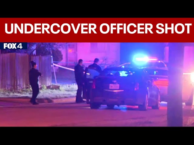 LIVE: Dallas police give update on officer shot during chase | FOX 4