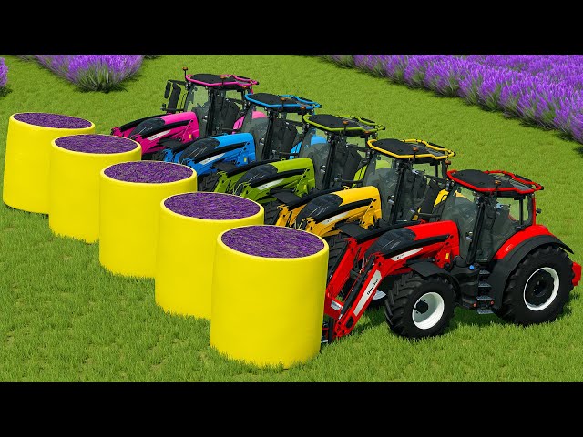 HARVEST, LOAD AND TRANSPORT LAVENDER BALES WITH VALTRA TRACTORS - Farming Simulator 22