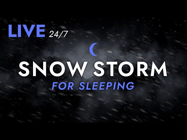 🔴 Fall Asleep to Snow Storm Sounds for Sleeping - Dimmed Screen | Live Stream - Blizzard Sounds