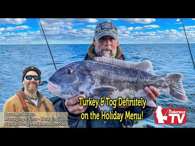 November 23, 2022  New England Video Fishing Forecast with Dave Anderson