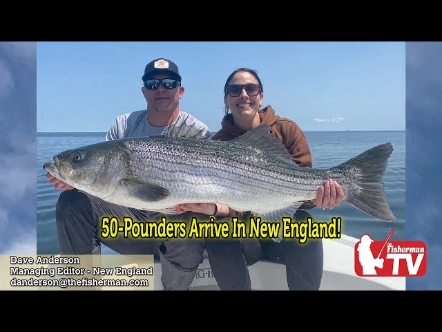 May 18, 2023  New England Video Fishing Forecast with Dave Anderson
