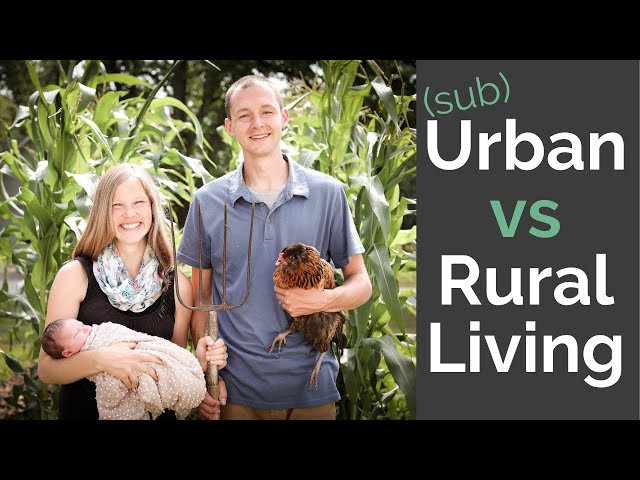 Honest Conversation about Rural vs Suburban Living | What to Consider Before Moving to the Country