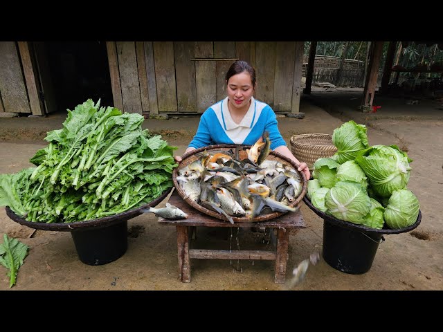 265 Days: Harvest Fish, Vegetables, Sweet Potato - Build Bamboo House, Cooking, Farm | Lý Thị Ca