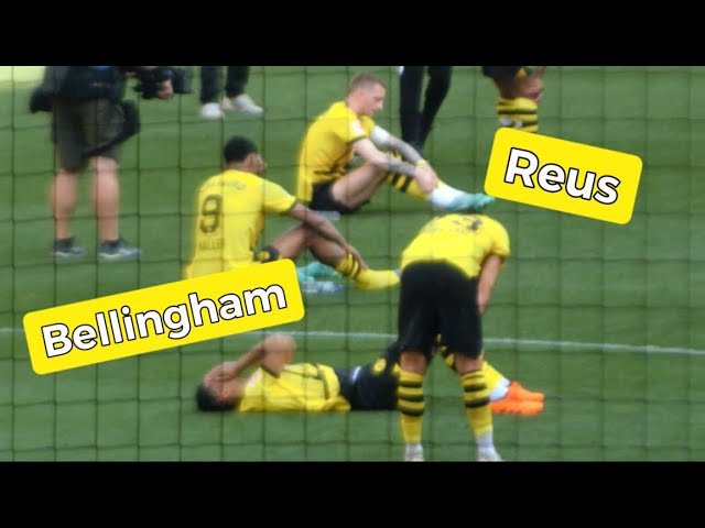 Jude Bellingham & Marco Reus devastated after Borussia Dortmund missed out on the Bundesliga title