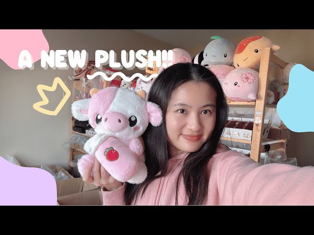 Design a Plushie with me!