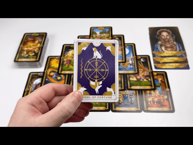 CANCER - No One Can Stop You! A New Journey is Here! Tarot Reading