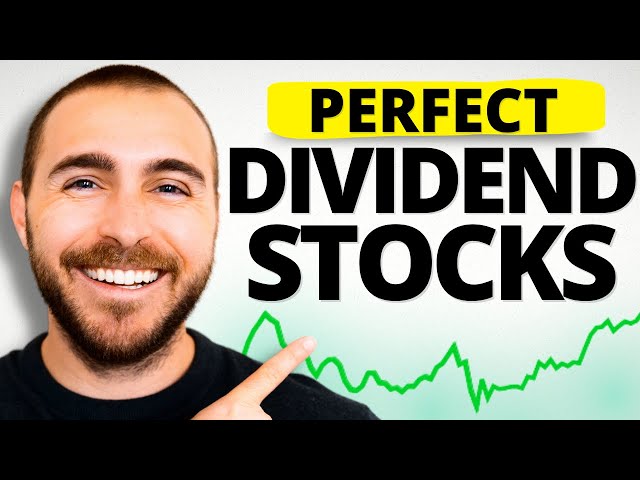 20 PERFECT Dividend Stocks For BRAND NEW Investors