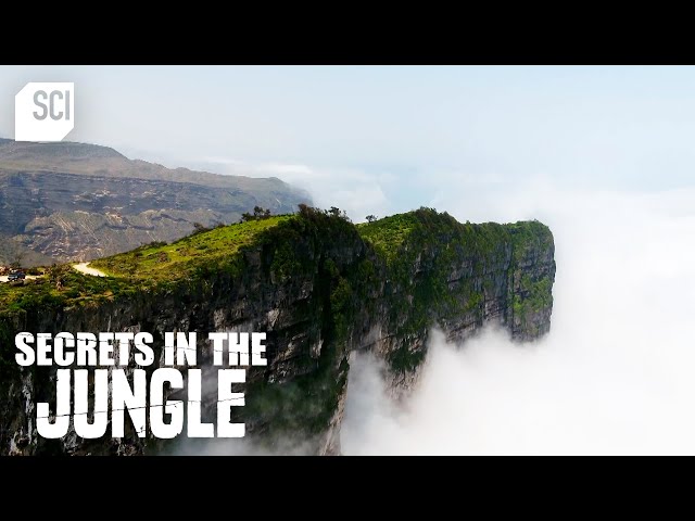 Salalah's Pop-Up Jungle | Secrets in the Jungle | Science Channel