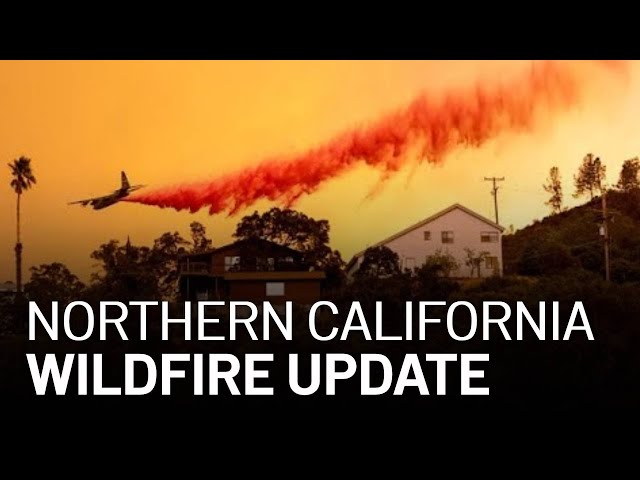 LIVE: Updates on California Wildfires, Evacuations [8/25 6 PM]